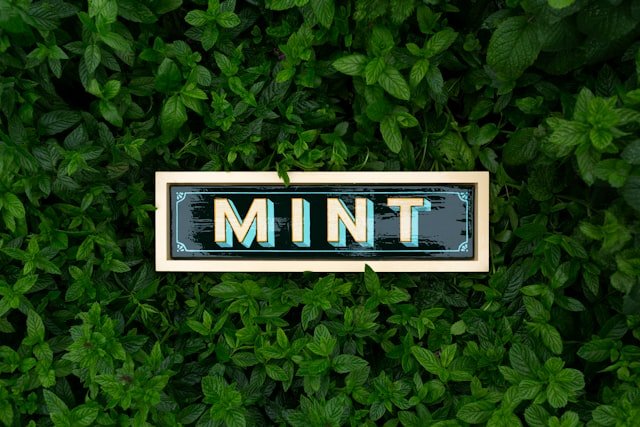 a sign that says mint on it in front of a bush