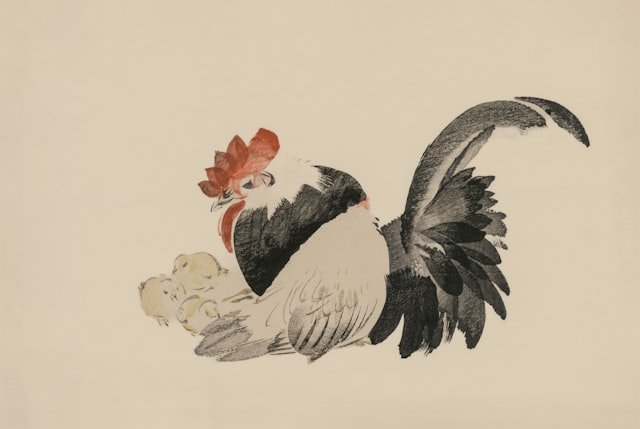 indonesia illustration