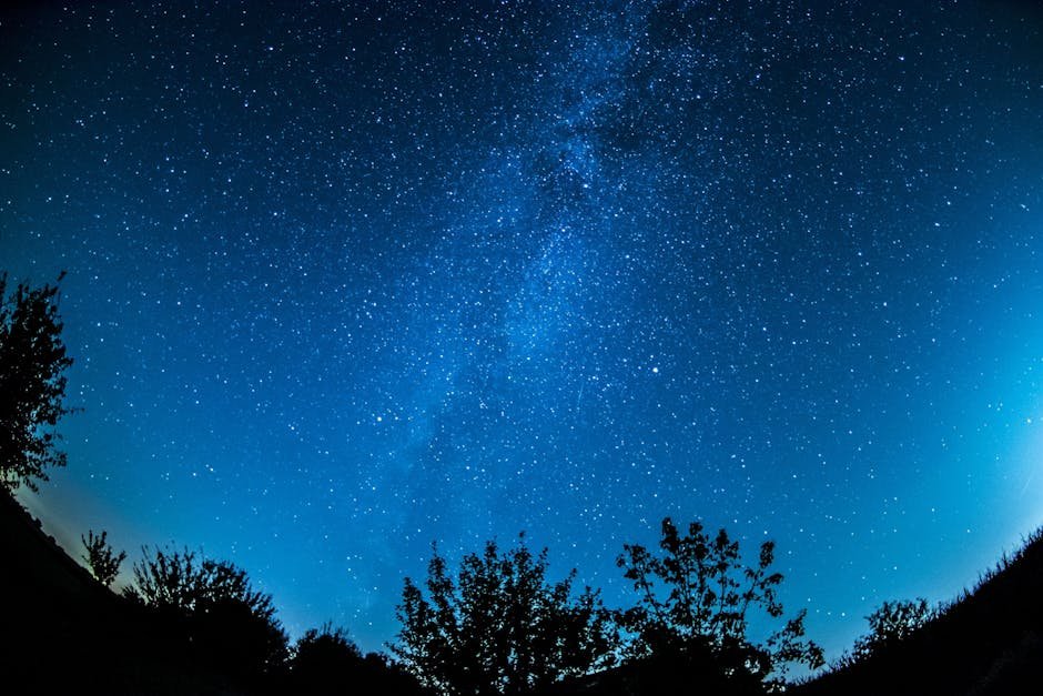 A breathtaking view of a starry night sky over a silhouetted forest, showcasing the Milky Way.